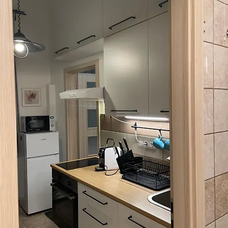 شقة Hanna&rita In The Centre Lonyay 42a 3rd Floor In The Back Yard بودابست